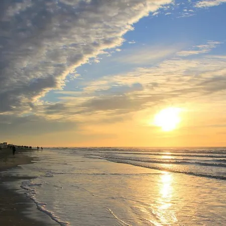 شقة Loft Studio's