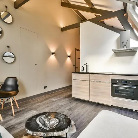 Appartement Loft Studio's *